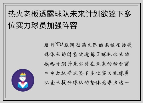 热火老板透露球队未来计划欲签下多位实力球员加强阵容